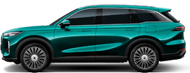 Tiggo 9
